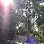 Nyaraló Santa *