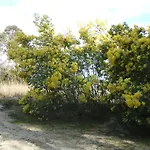 Santa Ghisonaccia