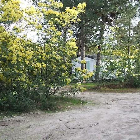 Résidence Santa Ghisonaccia