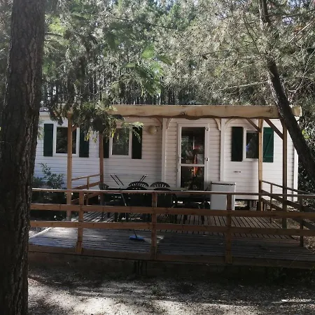 Santa Nyaraló Ghisonaccia