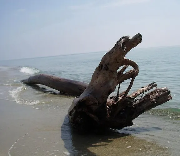 Santa Nyaraló Ghisonaccia